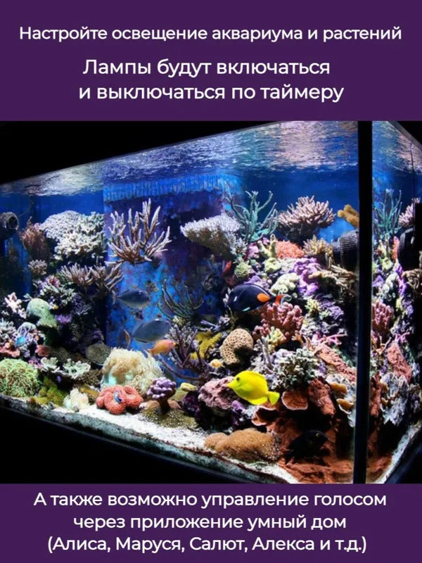 Умная беспроводная Wi-Fi розетка, голосовое управление Yandex Алиса, таймер, 20А, с отслеживанием энергопотребления